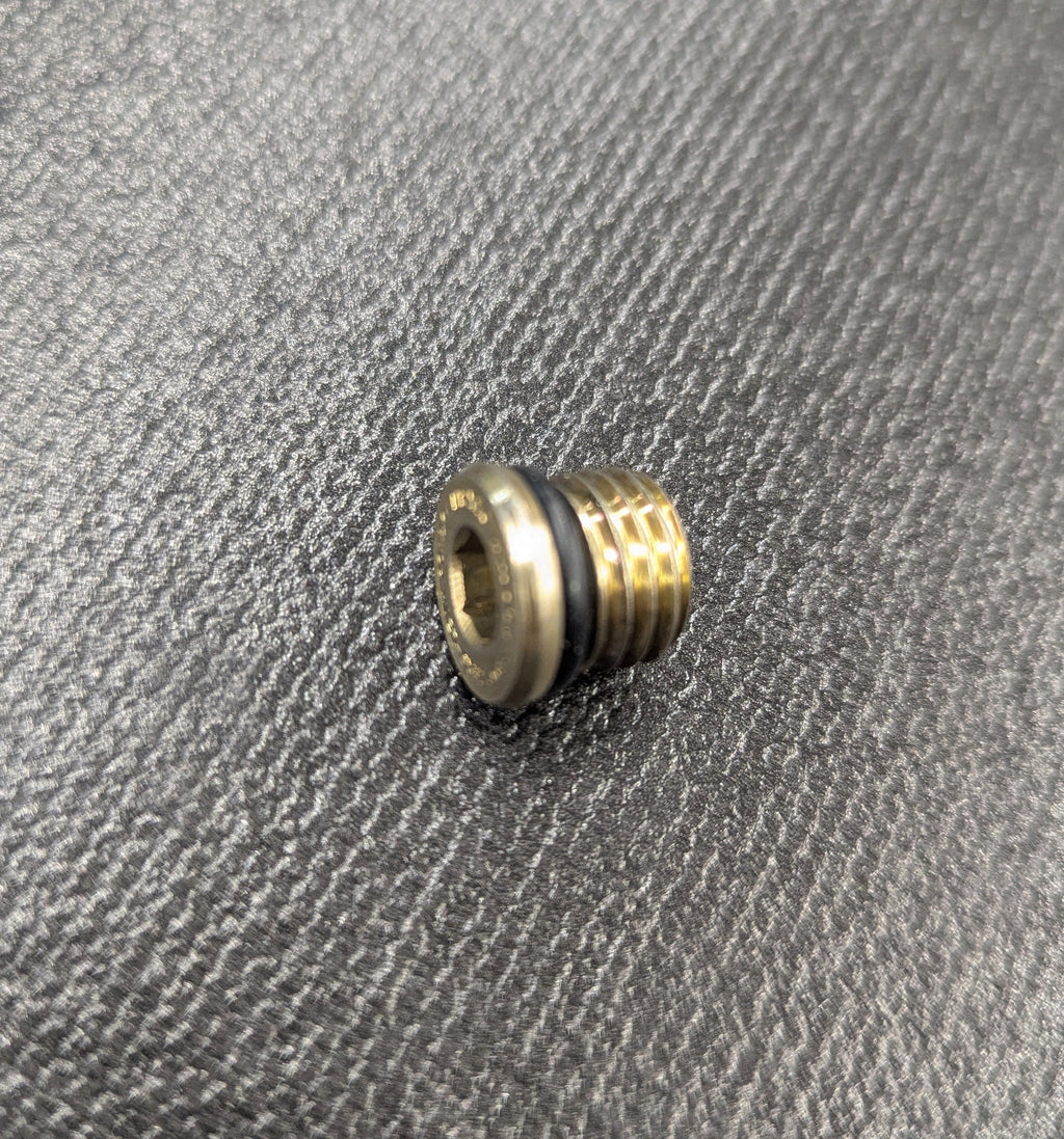DRAIN PLUG, FUEL PUMP, W/ ORING (P0189.1B6 Rev A)