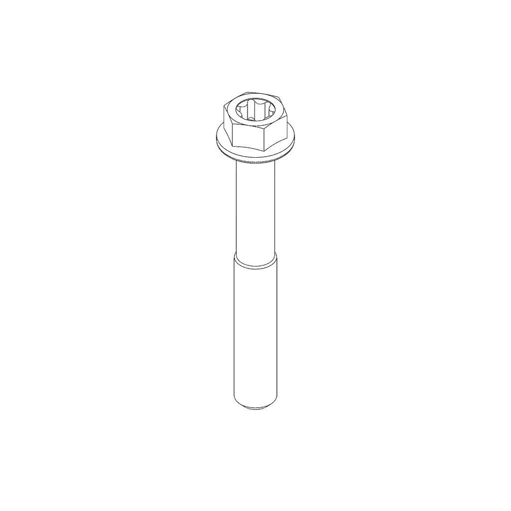 M6X45 Hex/TORX-Flange Screw (CA0066.1B6A)