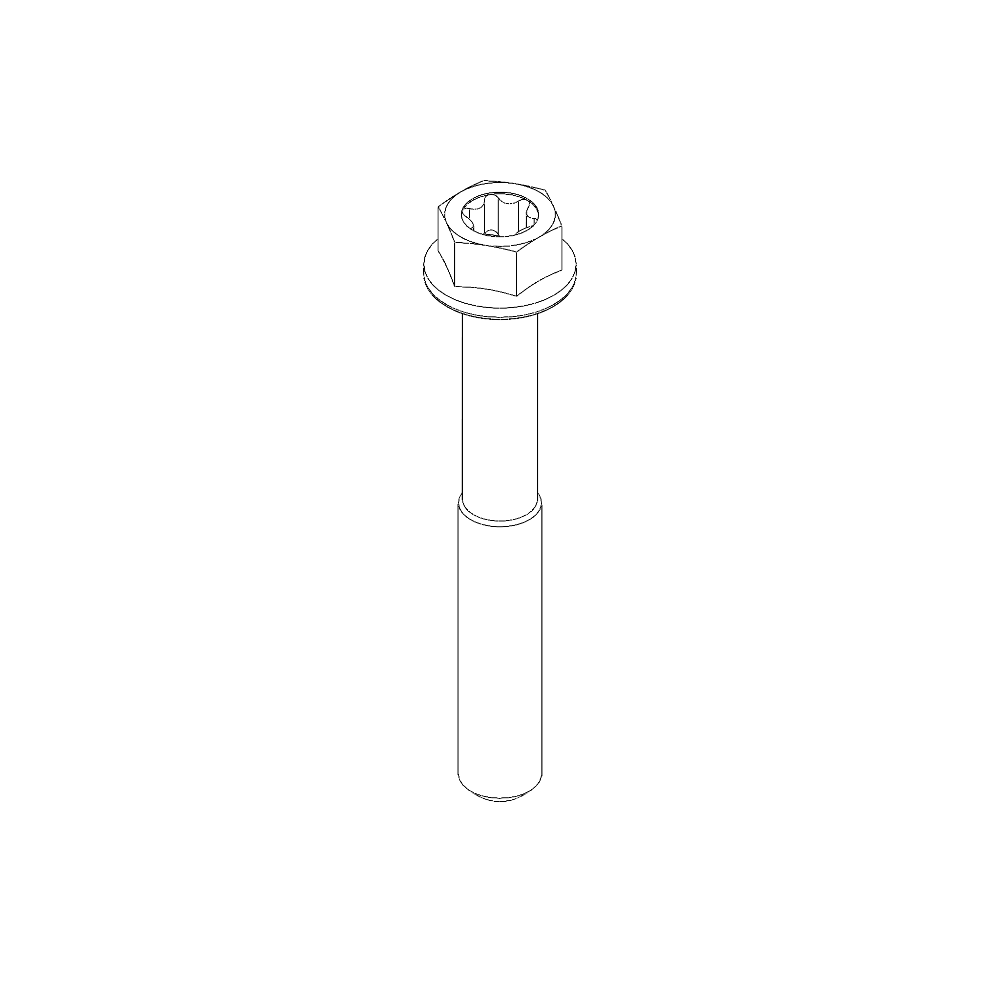 M6X45 Hex/TORX-Flange Screw (CA0066.1B6A)