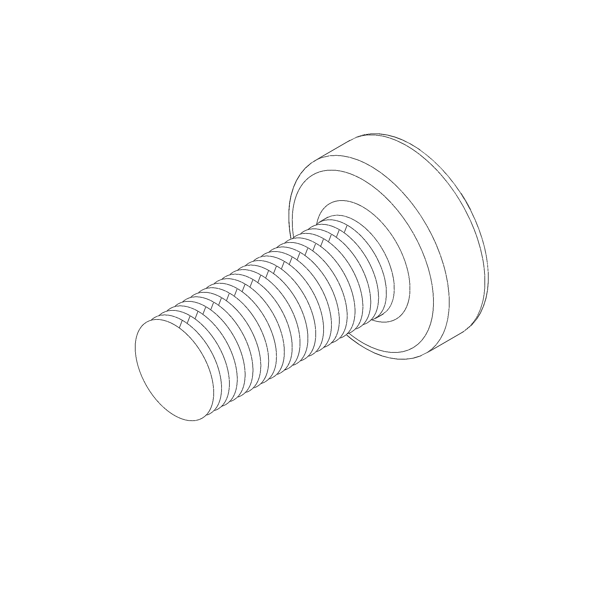 SCREW, FUEL CAP RETAINING RING (CA0216.1B7)