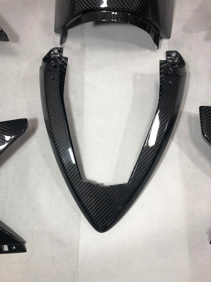 Buell 1190RX Carbon Fiber Bodywork Set in Clear Coat