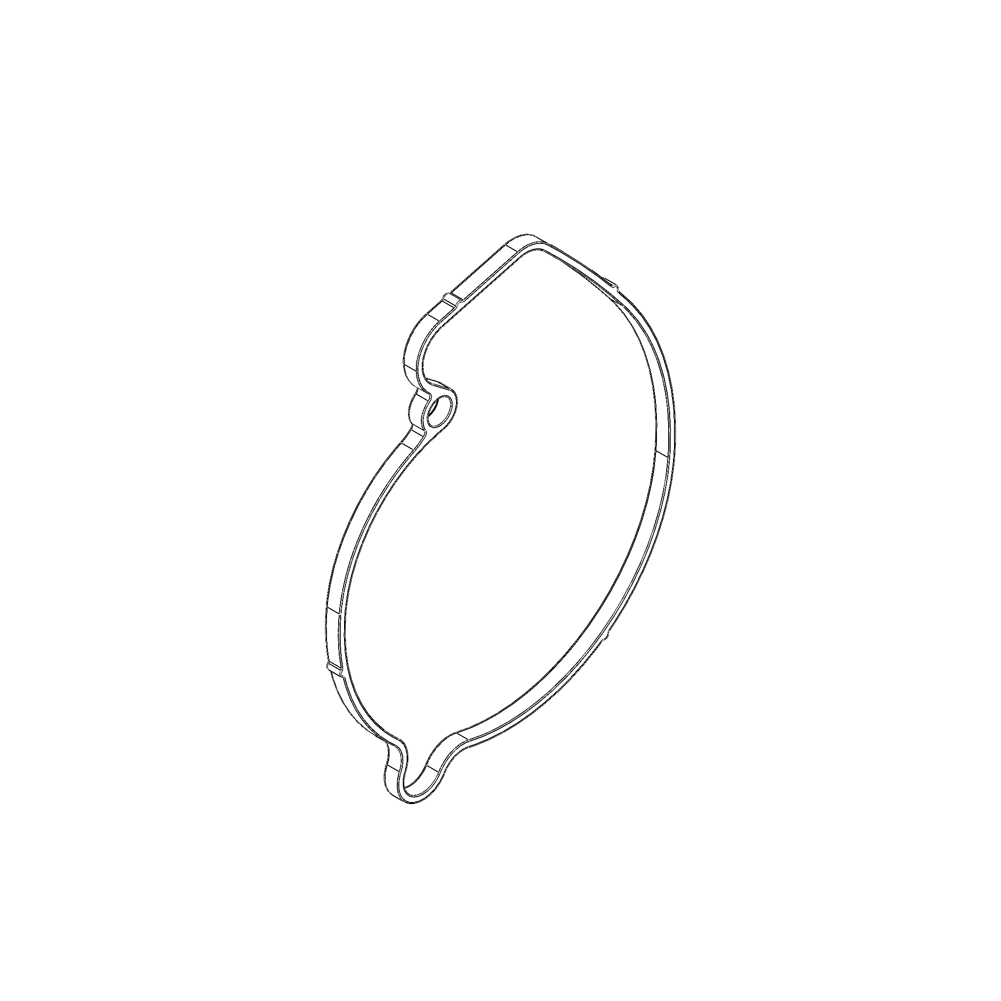 GASKET, WATER PUMP HOUSING (Q0426.1B6)
