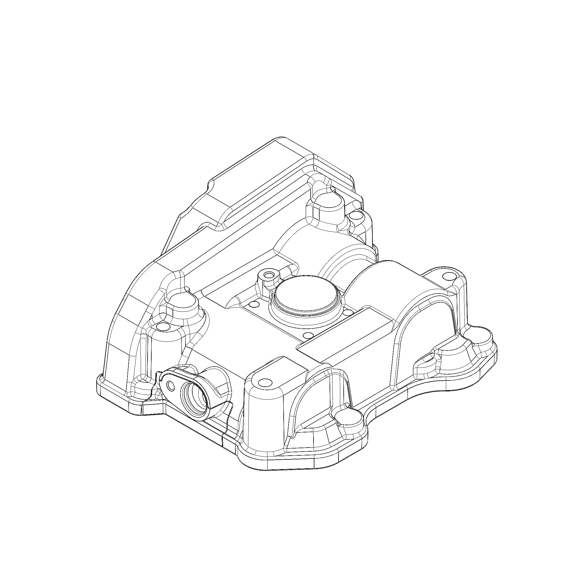 VALVE COVER (R0111.1B6)