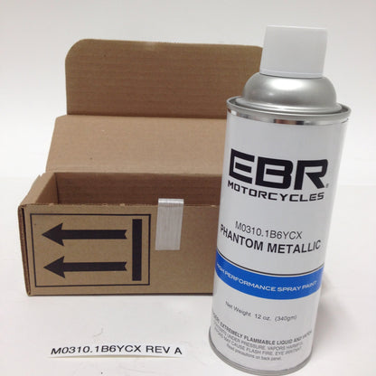 PAINT, TOUCH-UP, PHANTOM METALLIC, AEROSOL M0310.1B6YCX Rev A